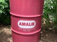 amalie-pic-lasalle-oil