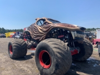 wolf-myrtle-beach-3