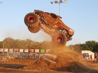 wolf-jump-2_0