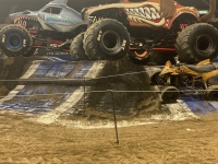 both-pit
