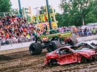 Summer Shows 2019